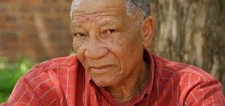 Photo of Don Mattera