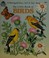 Cover of: My Little Book of Birds (A Merrigold Press Tell-A-Tale Book)
