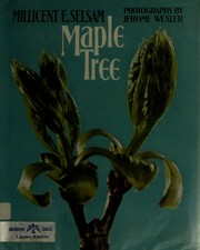 Cover of: Maple tree