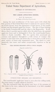 The larger apple-tree borers by F. H. Chittenden