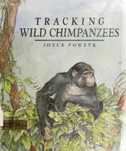 tracking-wild-chimpanzees-in-kibira-national-park-cover