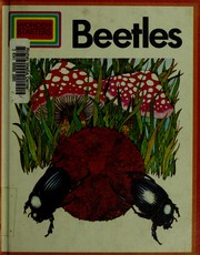 Cover of: Beetles (Wonder starters)