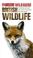 Cover of: Wild Guide to British Wildlife (Wildlife Guide)