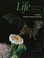 Cover of: Life