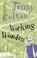 Cover of: Working Wonders