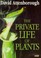 Cover of: The private life of plants
