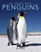 Cover of: Penguins: Amazing Pictures & Fun Facts on Animals in Nature