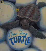Cover of: One tiny turtle by Nicola Davies