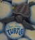 Cover of: One tiny turtle