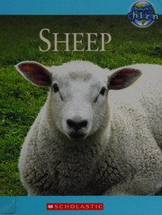 Cover of: Sheep by Flora Gandolfo