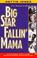 Cover of: Big Star Fallin' Mama