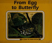 from-egg-to-butterfly-cover