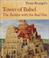 Cover of: Peter Bruegel's Tower of Babel