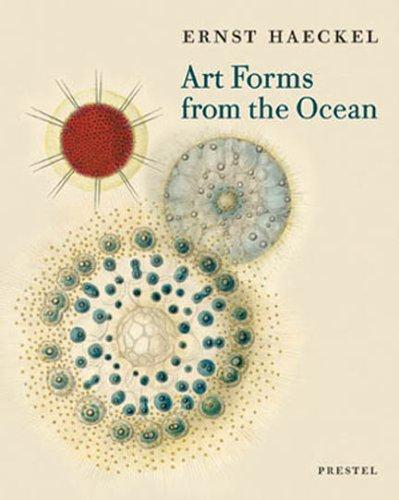Art forms from the ocean by Ernst Haeckel