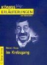 Cover of: Im Krebsgang by Günter Grass