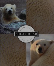the-life-cycle-of-a-polar-bear-cover