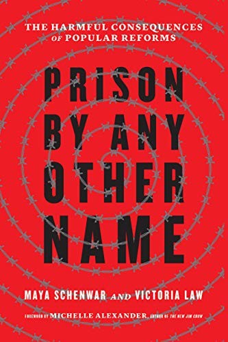 Prison by Any Other Name by Maya Schenwar, Victoria Law, Michelle Alexander