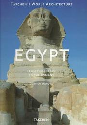 Cover of: Egypt: from prehistory to the Romans