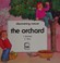 Cover of: The Orchard (Discovering Nature)