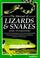 Cover of: The Manual of Lizards and Snakes