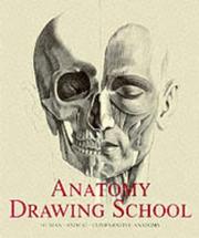 Anatomy drawing school