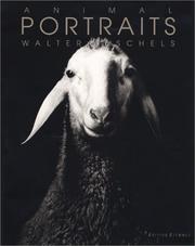 Cover of: Animal portraits