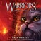 Cover of: Warriors #4