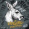 Cover of: Die Känguru-Apokryphen