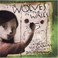 Cover of: The  wolves in the walls