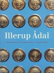 Cover of: Illerup Adal: Archaeology as a Magic Mirror