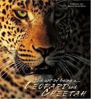 Cover of: The Lords of the Savannah - Leopards & Cheetas (Art of Being...)
