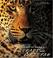 Cover of: The Lords of the Savannah - Leopards & Cheetas (Art of Being...)