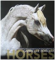 Cover of: Horses (Passions)