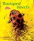Cover of: Backyard Insects