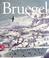Cover of: Peter Bruegel the Elder