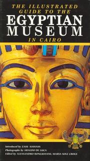Cover of: Ilustrated Guide to the Egyptian Museum