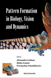 Cover of: Pattern Formation in Biology, Vision and Dynamics
