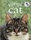 Cover of: Caring for Your Cat