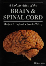 Cover of: A colour atlas of the brain & spinal cord