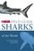 Cover of: Sharks (Collins Field Guide)