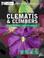 Cover of: Clematis and Climbers (Collins Practical Gardener)