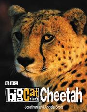 Cover of: Cheetah (Big Cat Diary) by Jonathan Scott, Angela Scott