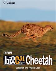 Cover of: Big Cat Diary: Cheetah (Big Cat Diary)