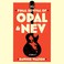 Cover of: The Final Revival of Opal & Nev