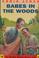 Cover of: Babes in the woods