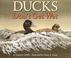 Cover of: Ducks don't get wet