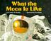 Cover of: What the moon is like