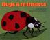 Cover of: Bugs Are Insects (Let's-Read-and-Find-Out Science Books)