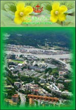 Cover of: Brunei-Muara District by 