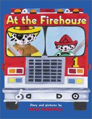 Cover of: At the firehouse